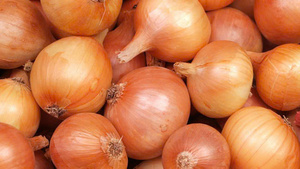 Cebollas frescas a granel del proveedor Bao Tram Anh Vietnam Producto agrícola - Product Image 3