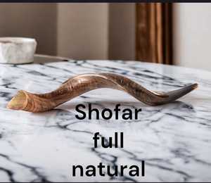 Cuerno vikingo natural para beber y soplar - Product Image 2