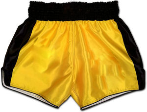 Ropa de Artes Marciales de Combate, Pantalones Cortos de Muay Thai, MMA, Boxeo, Personalizados, Sublimados, Impresos en la Parte Delantera, de Secado Rápido, Transpirables, Unisex, 100% - Product Image 3