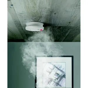 Détecteur de fumée personnalisé pour la décoration intérieure, gadgets anti-fumée - Product Image 3
