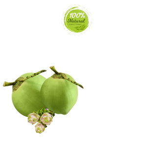 Coco fresco vietnamita, fuente de energía naturalmente refrescante, producto agrícola - Product Image 6