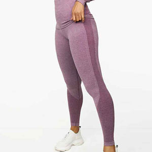 Leggings Deportivos de Mujer, Sin Costuras, de Poliéster Cepillado, Sublimados, Personalizados, para Invierno 2024, Cálidos, para Yoga, Fitness y Deporte - Product Image 3