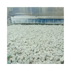 Fruta del Dragón Congelada Orgánica LQF, Roja y Blanca, Dulce Natural, Grado A/B, Vietnam, Alta Calidad, Venta al Por Mayor, Sin Químicos - Product Image 1