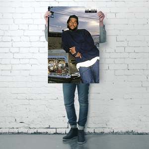 Impala Ice Cube <b>Poster</b> Digital Printing Techniques for Graphics - Product Image 4