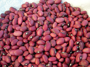 Top Quality Grade a Bulk Dried Red Kidney <b>Beans</b> Food Grade Common Cultivation Export Ready Custom Packaging For Sale - Product Image 5