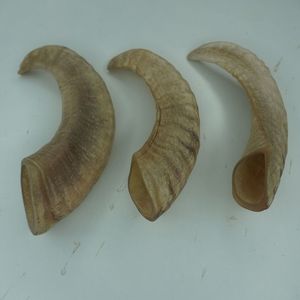 ทำด้วยมือธรรมชาติแกะและแกะฮอร์นตกแต่งชิ้นงานสไตล์สัตว์ขัดเงา - Product Image 4