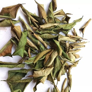 Feuilles de tilleul séchées de qualité supérieure meilleur prix feuille de citron sec prêt pour l'exportation fabriqué au Vietnam - Product Image 3