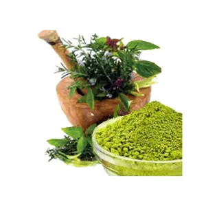 Henna Powder Nature's Art for Vibrant Beauty Gorgeous Henna Elixir Organic Beauty in Bloom Henna Powder Supplier