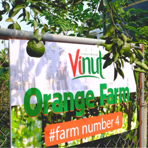 Purée de fraises et de graines de basilic fraîchement pressée en bouteille en verre de 9,8 fl oz (290 ml) Fabrication en marque blanche OEM/ODM Vente en gros - Product Image 4