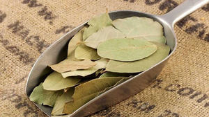 Feuilles de laurier séchées parfumées pour les cuisines mondiales et les importateurs d'épices - Product Image 5