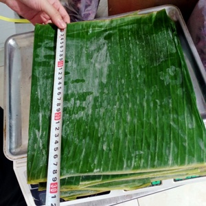 Feuille de bananier verte naturelle fraîche/congelée/fournisseur vietnamien de feuilles de bananier fraîches - Product Image 2