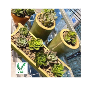 Cintre de jardinière en tube de bambou rustique parfait pour le jardin, le patio ou le balcon - Product Image 1