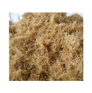 Yatak dolum dokuma ve tarım kullanımları için ideal ucuz fiyata toplu olarak yüksek kaliteli palmiye lifi - Product Image 5