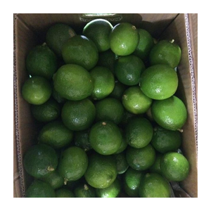 Citron vert frais d'origine vietnamienne/citron sans pépins au goût naturel aigre/agrumes de qualité supérieure pour l'exportation - Product Image 6