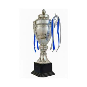Stylish Silver Metal Award <b>Trophy</b> Cup For Promotion Marketing Display - Product Image 3
