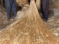 Fibre de jute 100% export, haute qualité, prix bas, écologique, respirante, absorbante, taille personnalisable, durable, matière première