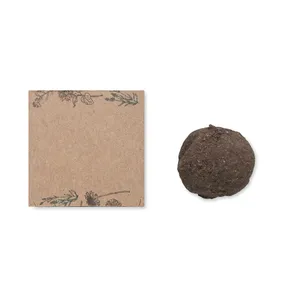 Kit de culture écologique BOMBI pour votre espace extérieur - pour les panneaux de jardin - Product Image 4