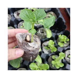 เม็ดมะพร้าวพรุสำหรับการเพาะเมล็ดที่ย่อยสลายได้ง่ายและเป็นมิตรกับสิ่งแวดล้อม - Product Image 1