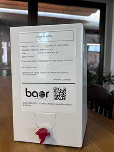 Succo di Limone Concentrato Baor Products 10 Litri Durata 12 Mesi - Product Image 1