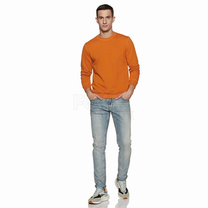 Sweat ras du cou échantillon gratuit hommes hiver et automne pull chaud à manches longues doublé polaire décontracté élégant porter pour tous les jours - Product Image 3
