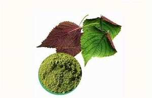 POLVO DE HOJA DE PERILLA PURA PARA APOYO INMUNE Y DESINTOX NATURAL ETIQUETA LIMPIA FÓRMULA BOTÁNICA - Product Image 6