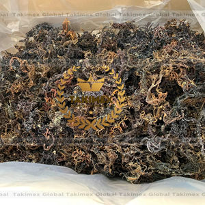 ผงสาหร่าย Sargassum แบบแห้งจาก seamoss สำหรับสาหร่ายทะเลปรุงแต่งรสจากเวียดนาม - Product Image 1