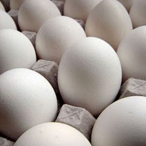 Œufs de poule frais biologiques de marque NEW, origine PT, riches en protéines, de haute qualité, durée de conservation de 6 mois, 70g, 1312 MOQ, en vrac - Product Image 2