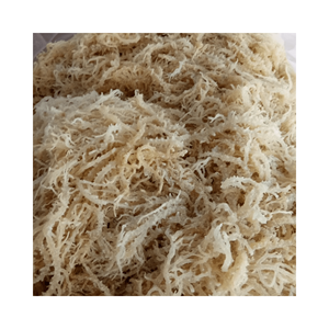 EXPORTATION D'ALGUES SECHES DE COTTONII DE L'EXPAD ALGUES VIETNAMIENNES Algues Cottonii séchées de qualité supérieure - Product Image 2