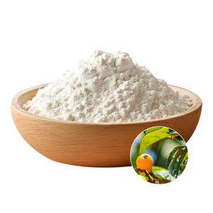 Puur Rozemarijnblad Extract Poeder 98 Procent Bulk Voor Natuurlijke Supplement Formuleringen Moq 1Kg Rozemarijn Extract - Product Image 3