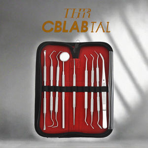 Juego de Instrumentos de Limpieza Dental Manual de Acero Inoxidable para el Cuidado Bucal, Estuche para Eliminar el Sarro, la Placa y el Cálculo Dental - Product Image 5