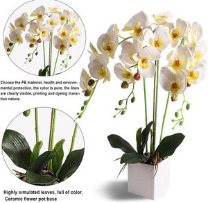 ก้านดอกกล้วยไม้ปลอม THAOF-132 9ต้นบุปผาขนาดใหญ่38นิ้วกิ่งก้านฟาแลนอปซิสน้ำยางเทียมสัมผัสแท้สำหรับเทศกาลคริสต์มาสอีสเตอร์ - Product Image 6