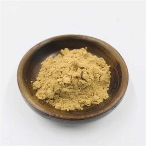 100% poudre de coriandre moulue indienne de qualité alimentaire pure de qualité supérieure assaisonnement d'épices culinaires naturelles qualité d'exportation Coriandrum Sativum - Product Image 3