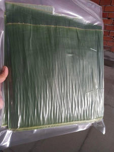 ใบตองแช่แข็งขายส่งจำนวนมากสินค้าขายดีในหมวดใบกล้วยแช่แข็ง - Product Image 6