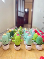 Penjualan laris 2025 pot bunga kaktus Crochet buatan tangan lucu dekorasi rumah hadiah Festival bunga rajut hadiah Crochet bunga buatan