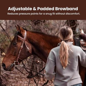 Licol professionnel pour cheval, réglable, durable, équipement d'équitation, support de manipulation, entraînement, équipement d'écurie, performance fiable, soins quotidiens - Product Image 6