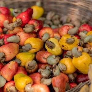 Noix de cajou naturelles W180 Kaju Noix de cajou brutes Noix de cajou blanches entières Bon prix OEM Sacs scellés sous vide Qualité d'exportation - Product Image 6