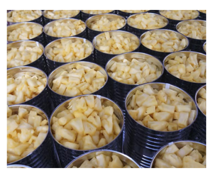 <b>Pineapple</b> Power: Canned <b>Pineapple</b> from Vietnam Brings Tropical Vibes to Your Kitchen, Perfect for Trendy Smoothies and <b>Desserts</b> - Product Image 1