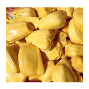 Bulbes de Jackfruit mûrs surgelés, Jackfruit sucré surgelé IQF pour desserts, boissons, glaces et transformation alimentaire à partir de 99 GD - Product Image 6