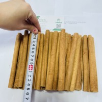 Cigare Premium Kaneelboom/ Cassia/Ceylan du Vietnam-Meilleure qualité, excellents taux d'exportation (WA: + 84362512699)