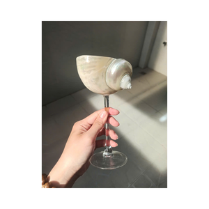 Coupe en coquille de conque artisanale, plat en coquille marine naturelle pour servir les aliments et la décoration - Product Image 2