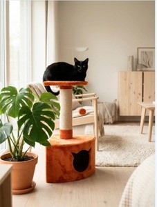 Rascador Cálido y Confortable 36*36*72 - Product Image 5