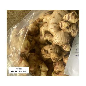 Tự Nhiên Tươi Gừng Hot Bán Giá Rẻ Nhà Máy Giá Số Lượng Lớn Số Lượng Bán Buôn Helen 99 Vàng Dữ Liệu + 84 392 328 745 - Product Image 6