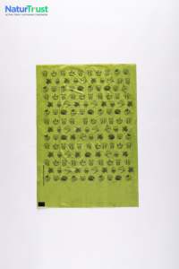 ถุงใส่อุจจาระสัตว์เลี้ยงแบบย่อยสลายได้เป็นมิตรกับสิ่งแวดล้อม - Product Image 3