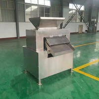 Hoge Efficiëntie Duurzame Wortelpers Energiebesparende Industriële Citroenpers voor Wortelsap en Citrusdrankproductie