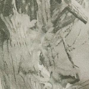 Sudadera Extra Grande para Mujer, 100% Algodón con Tela de Sensación Afelpada, Corte Holgado, Estilo Casual para la Temporada de Frío, Ropa Urbana con Logotipo Frontal - Product Image 3