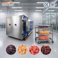 Machine de lyophilisation des fruits en acier inoxydable de qualité alimentaire pour fruits, raisins, melons et pastèques