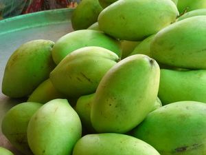 HOA LOC MANGO DELICIOSAS FRUTAS DULCES DE VIETNAM - Product Image 2