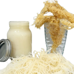 Directement du Vietnam! Vente en gros de superaliments de mousse de mer sauvages et crus pour la désintoxication Meilleure qualité et prix Commandes en gros acceptées - Product Image 4