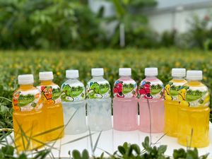 320ml Low-Carb Chewy Passion Fruit Juice Drink Nata De Coco Jelly PET <b>Bottle</b> Refreshing Fruit Beverage OEM ODM Private Label - Product Image 3