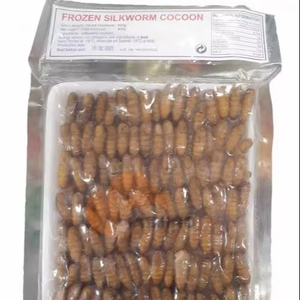 Gusano de seda congelado entero precio crisálidas alimentación animal gusano de seda congelado pupas ángulo - Product Image 1
